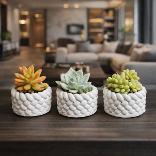 Toptan 3’lü Mini Saksı Seti 5 cm