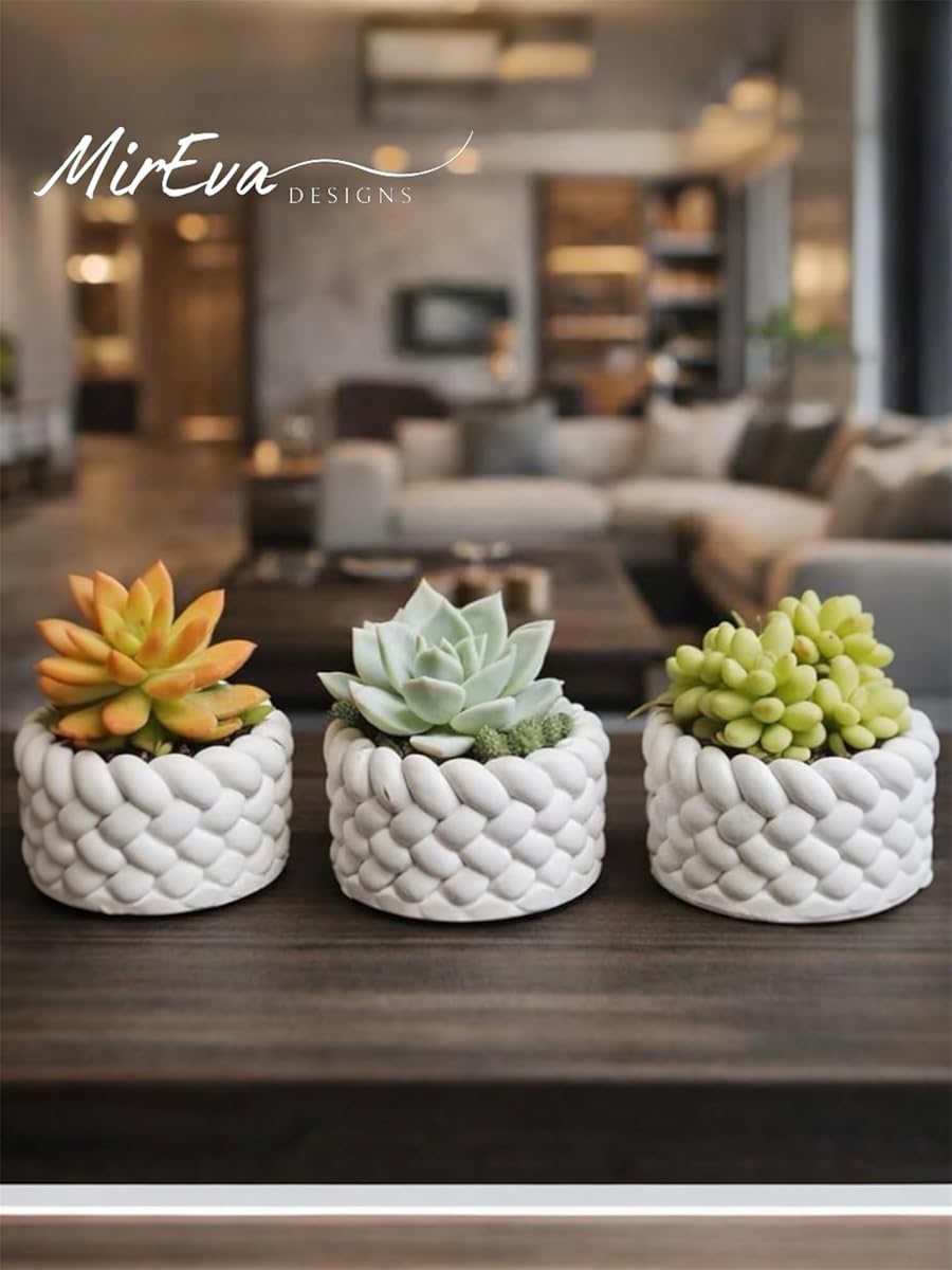 Toptan 3’lü Mini Saksı Seti 5 cm
